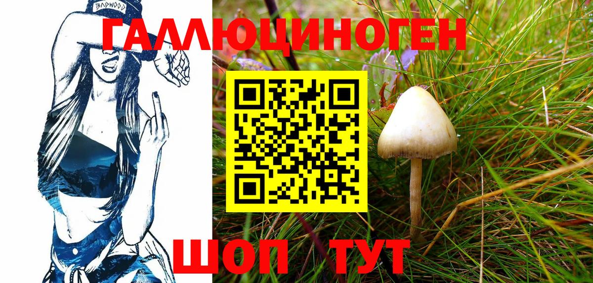 Псилоцибиновые грибы Psilocybine cubensis  Вход с VPN  Дзержинск 